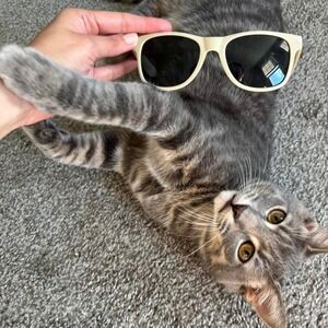 Taylor Swift 1989 Eras Tour merch Beige Tan sunglasses